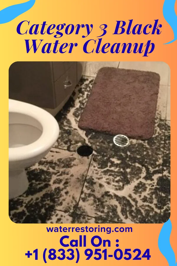 Category 3 Black Water Cleanup in Rio, LA