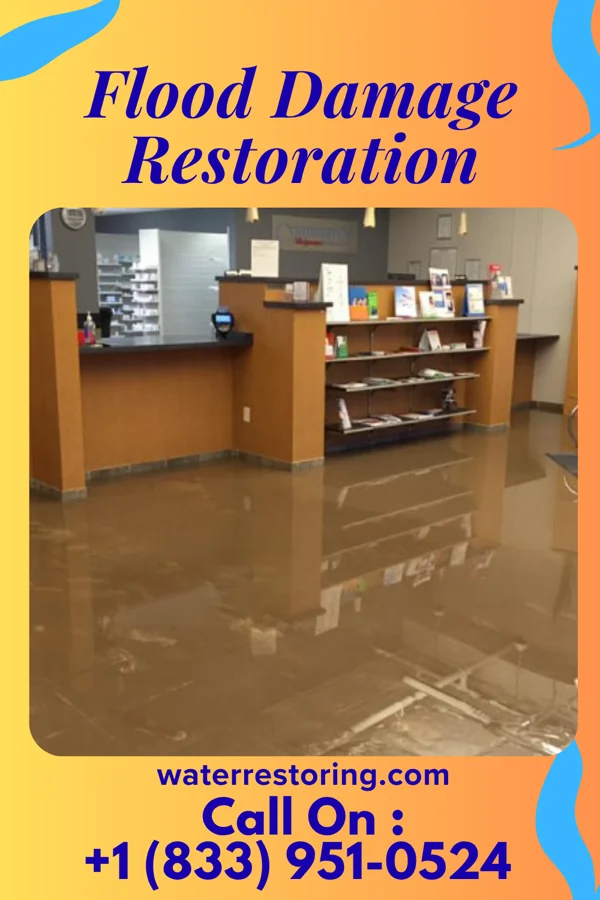 Flood Damage Restoration in Rio, LA