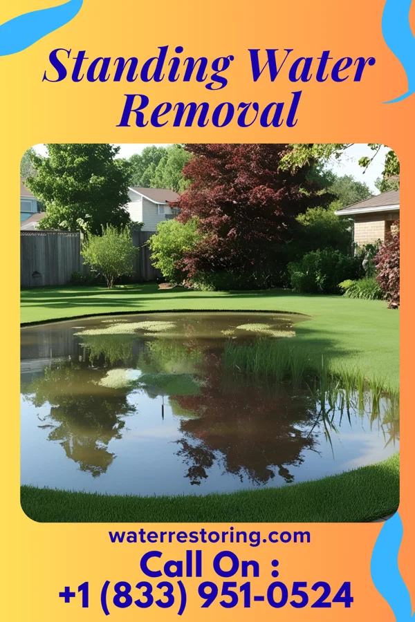 Standing Water Removal in Rio, LA